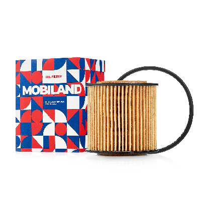 Oil Filter (802003030)