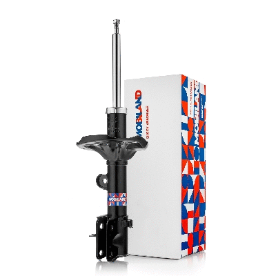 Shock Absorber (134212840)