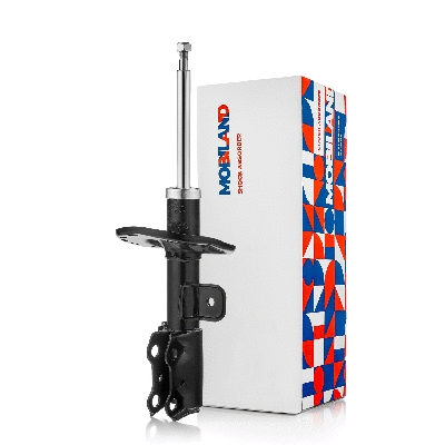 Shock Absorber (134123920)