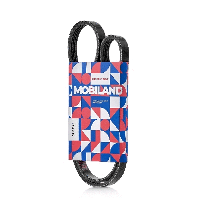 V-Ribbed Belt (501251123)
