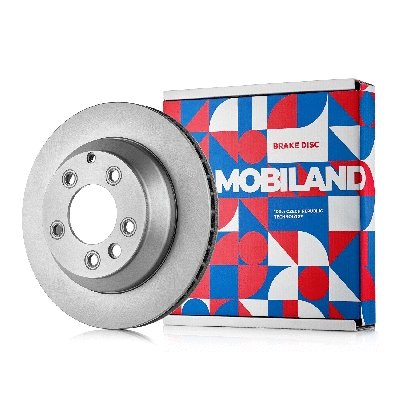 Brake Disc (416201721)