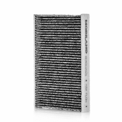 Filter, cabin air (804002501)