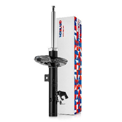 Shock Absorber (134125570)