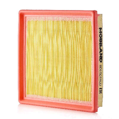 Air Filter (801001800)