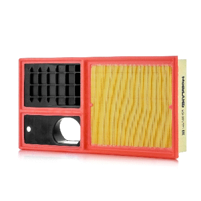 Air Filter (801001770)