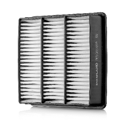 Air Filter (801001860)