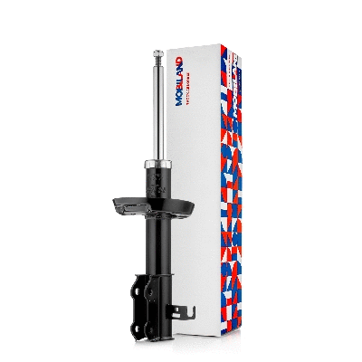 Shock Absorber (134124580)