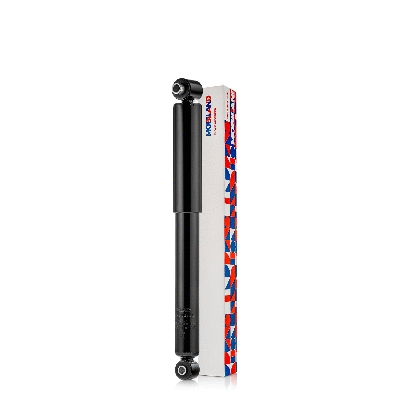 Shock Absorber (134206720)
