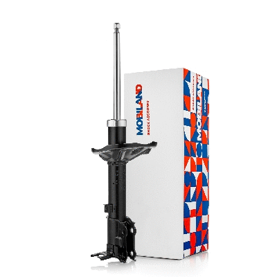 Shock Absorber (134212630)