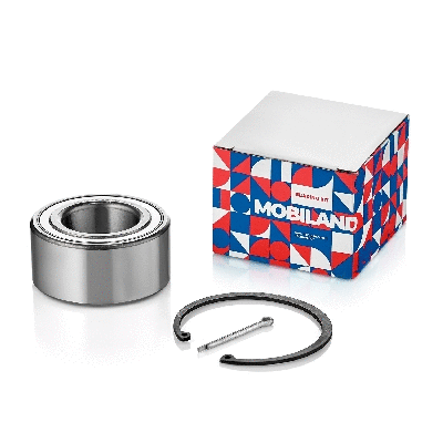 Wheel Bearing (219101340)