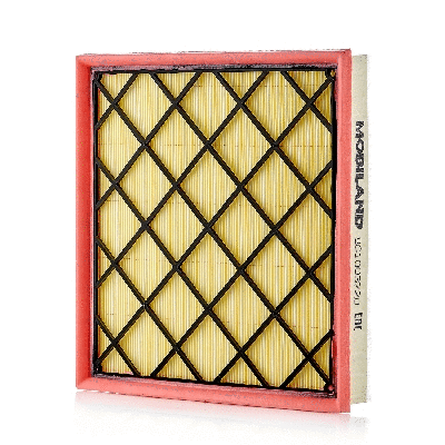 Air Filter (801003720)