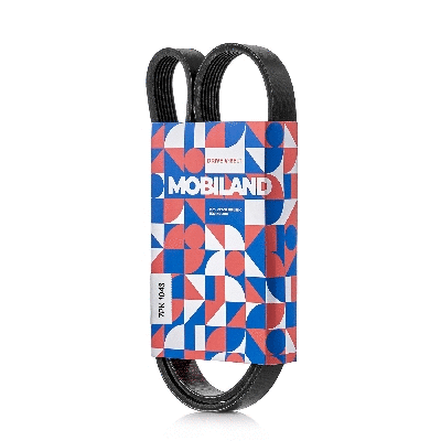 V-Ribbed Belt (501271043)