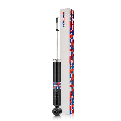 Shock Absorber (134202600)