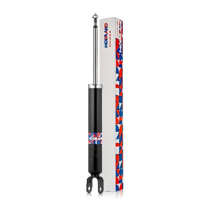 Shock Absorber (134202810)