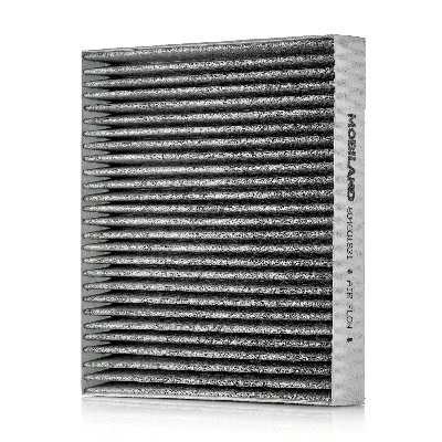 Filter, cabin air (804001731)