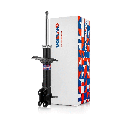 Shock Absorber (134113220)