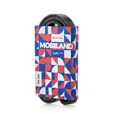 V-Ribbed Belt (501271685)