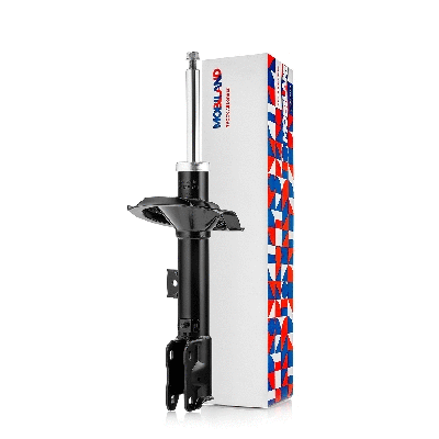 Shock Absorber (134126310)