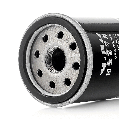 Oil Filter (802003180)