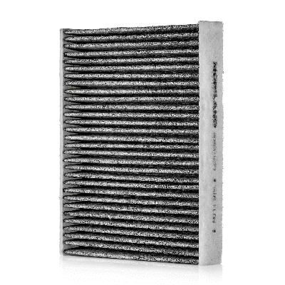 Filter, cabin air (804001221)