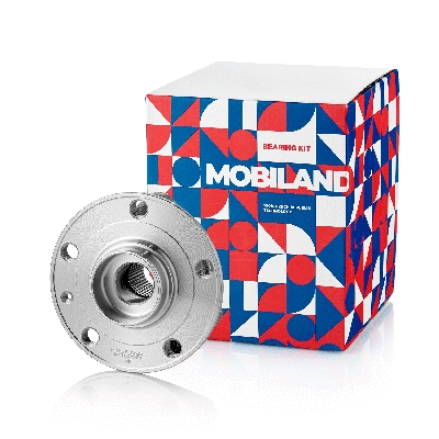 Wheel Hub (220101010)