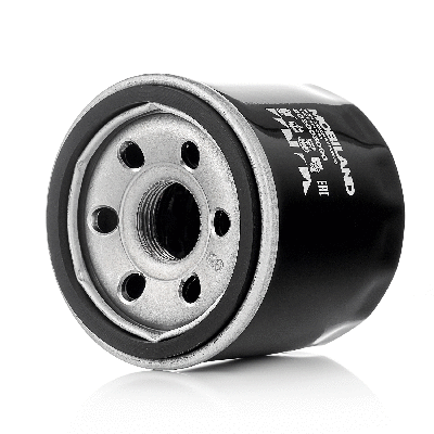 Oil Filter (802003090)