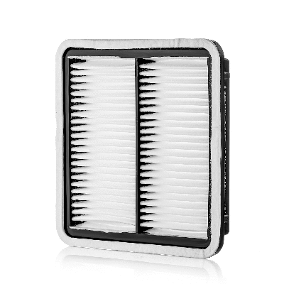 Air Filter (801002340)