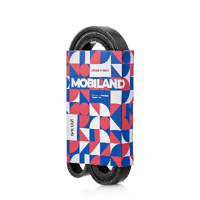 V-Ribbed Belt (501261763)
