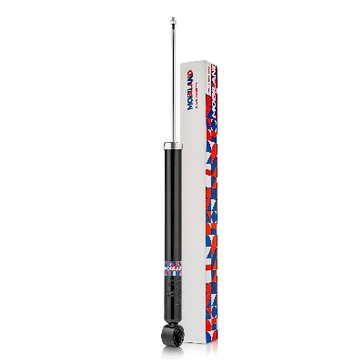 Shock Absorber (134202390)