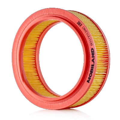 Air Filter (801001240)