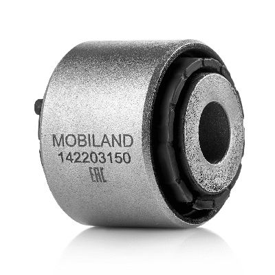 Mounting, control/trailing arm (142203150)