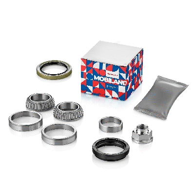 Wheel Bearing (219101370)