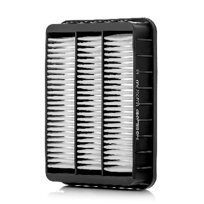 Air Filter (801001360)