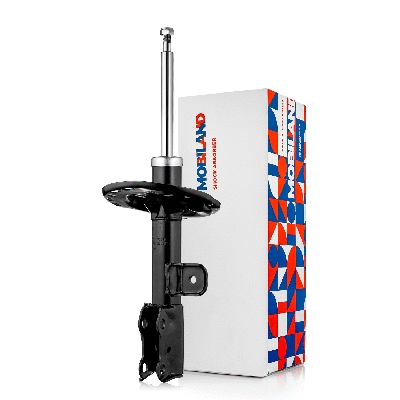 Shock Absorber (134123970)