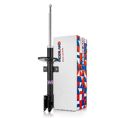 Shock Absorber (134203650)