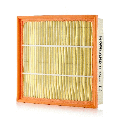 Air Filter (801002360)