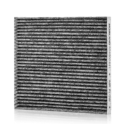 Filter, cabin air (804002441)