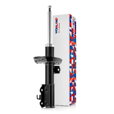 Shock Absorber (134114570)
