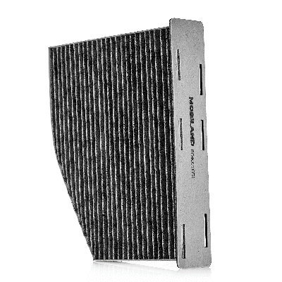 Filter, cabin air (804001651)