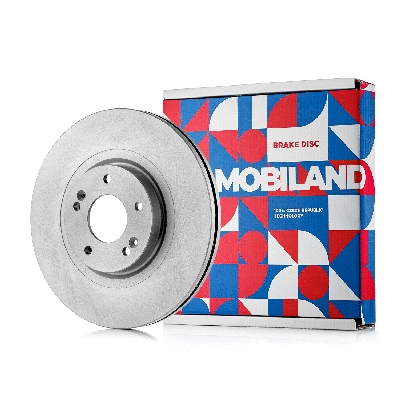 Brake Disc (416101651)