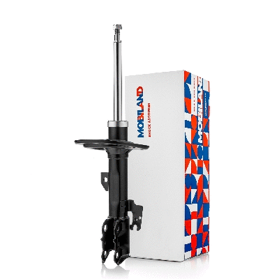 Shock Absorber (134123850)