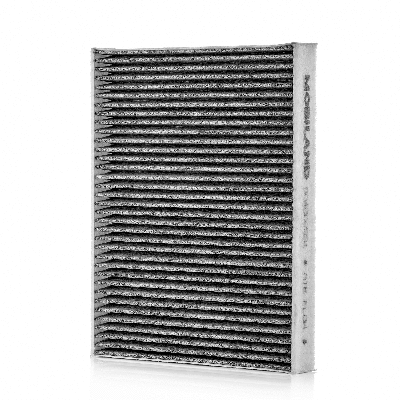 Filter, cabin air (804002591)