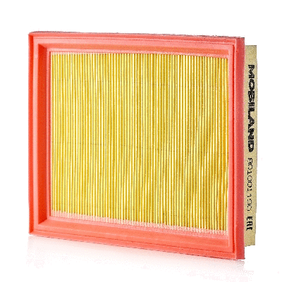 Air Filter (801001190)
