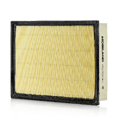 Air Filter (801002040)