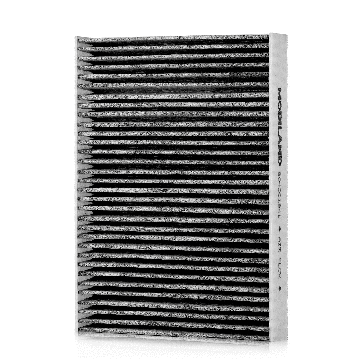 Filter, cabin air (804001941)