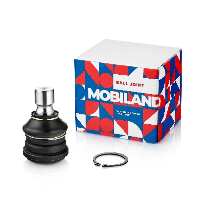 Ball Joint (130100170)