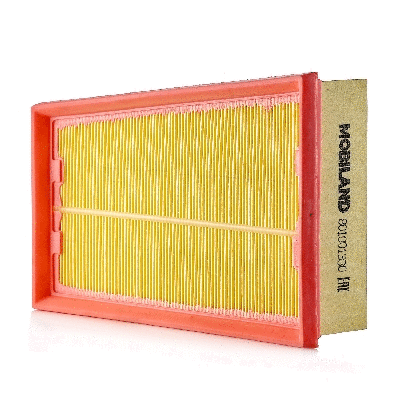 Air Filter (801001330)