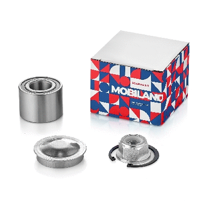 Wheel Bearing (219202170)