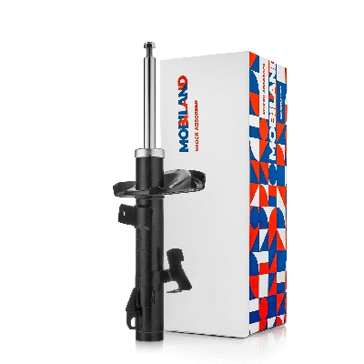 Shock Absorber (134112870)
