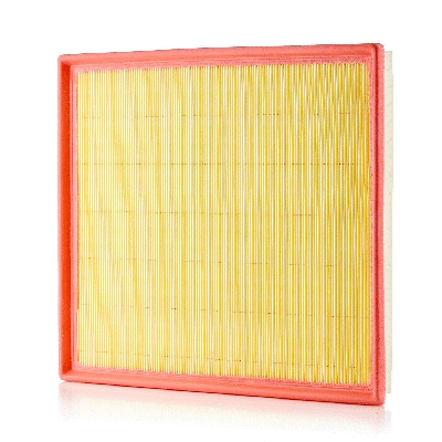 Air Filter (801002370)